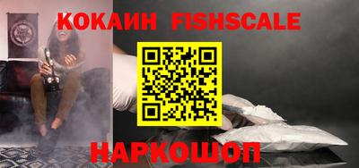 дмт Камышлов